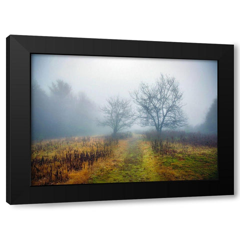 Magic Meadow Apples Black Modern Wood Framed Art Print by Sinclair, Kelly