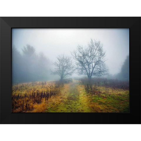 Magic Meadow Apples Black Modern Wood Framed Art Print by Sinclair, Kelly