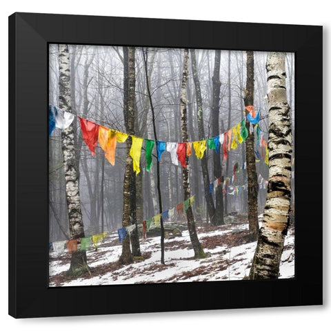 Prayer Flags, Woodstock, NY Black Modern Wood Framed Art Print by Sinclair, Kelly