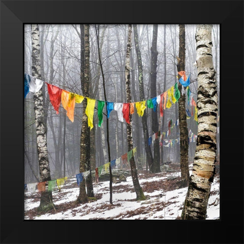 Prayer Flags, Woodstock, NY Black Modern Wood Framed Art Print by Sinclair, Kelly