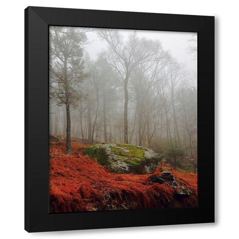 Red Ferns Black Modern Wood Framed Art Print with Double Matting by Sinclair, Kelly