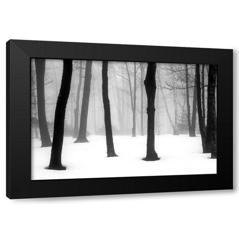 Winter Fog Black Modern Wood Framed Art Print by Sinclair, Kelly