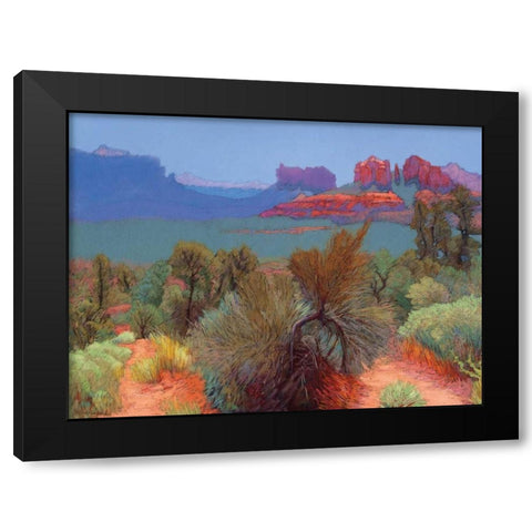 High Desert Black Modern Wood Framed Art Print with Double Matting by Silverwood, Mary