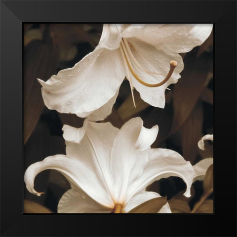 White Lilies Black Modern Wood Framed Art Print by Swanson, Rebecca