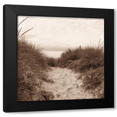 Dune Path Black Modern Wood Framed Art Print with Double Matting by Triebert, Christine