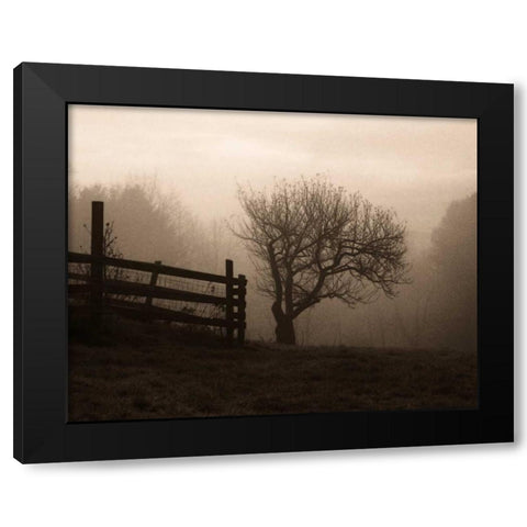 Mountain Meadow Farm Black Modern Wood Framed Art Print by Triebert, Christine