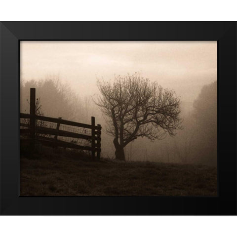 Mountain Meadow Farm Black Modern Wood Framed Art Print by Triebert, Christine