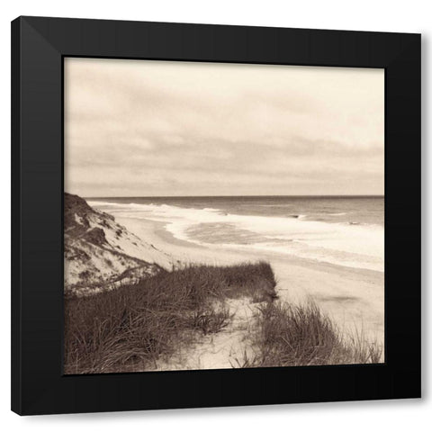 Wellfleet Dune Black Modern Wood Framed Art Print with Double Matting by Triebert, Christine