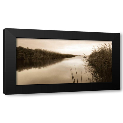 River Reeds Black Modern Wood Framed Art Print by Triebert, Christine