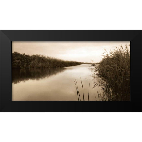 River Reeds Black Modern Wood Framed Art Print by Triebert, Christine