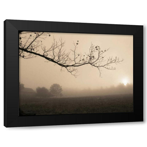 Parish Hill Sunrise Black Modern Wood Framed Art Print by Triebert, Christine