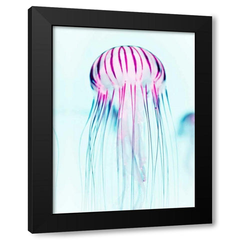 Jelly Fish Black Modern Wood Framed Art Print with Double Matting by Tai Prints