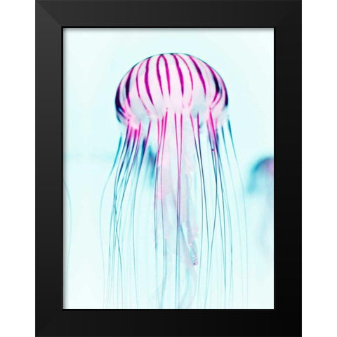 Jelly Fish Black Modern Wood Framed Art Print by Tai Prints