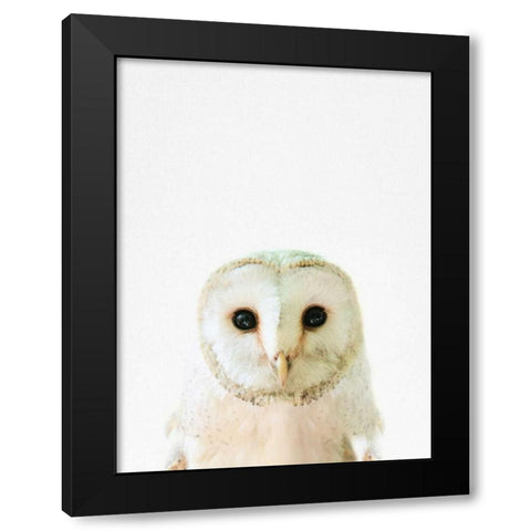 Owl Black Modern Wood Framed Art Print with Double Matting by Tai Prints