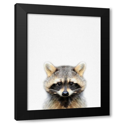 Raccoon Black Modern Wood Framed Art Print by Tai Prints