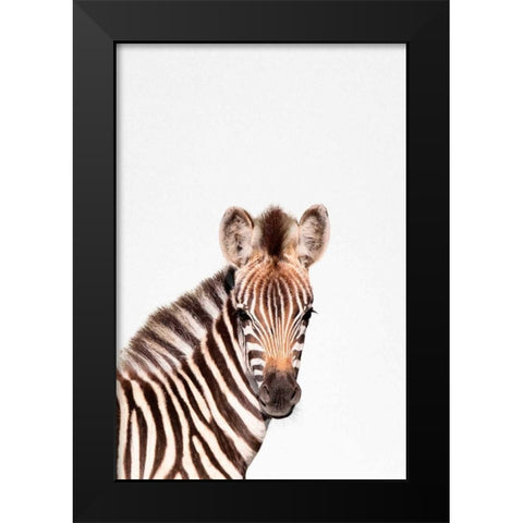 Baby Zebra Black Modern Wood Framed Art Print by Tai Prints