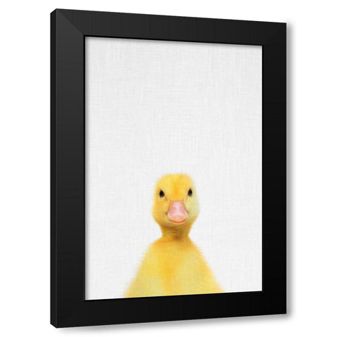 Duck Black Modern Wood Framed Art Print with Double Matting by Tai Prints