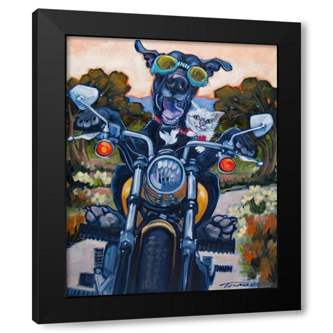 Under an Orange Sky Black Modern Wood Framed Art Print by Townsend, Connie R.