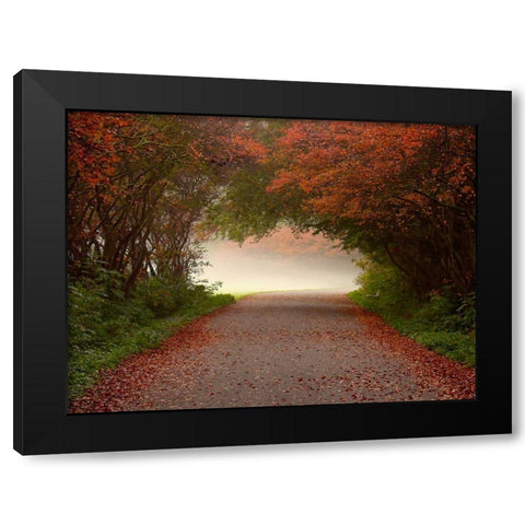 Arc de Triomphe Black Modern Wood Framed Art Print by Van de Goor, Lars