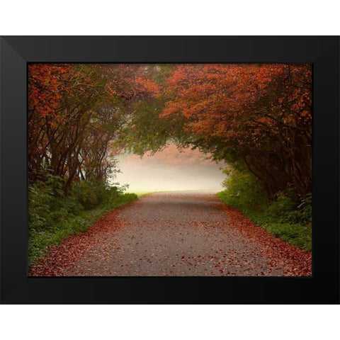 Arc de Triomphe Black Modern Wood Framed Art Print by Van de Goor, Lars