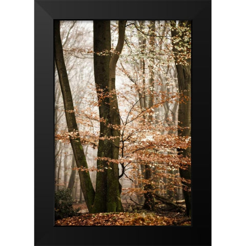 Bronze Tree Black Modern Wood Framed Art Print by Van de Goor, Lars