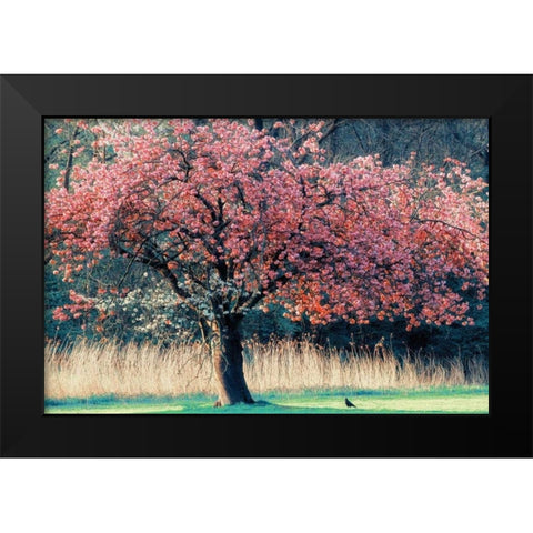 Me and My Tree Black Modern Wood Framed Art Print by Van de Goor, Lars