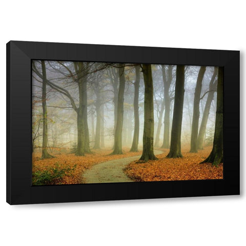 Misty Twisty Black Modern Wood Framed Art Print with Double Matting by Van de Goor, Lars