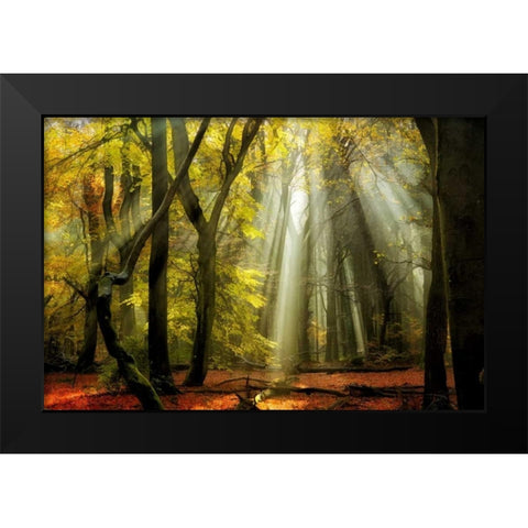 Yellow Leaves Rays Black Modern Wood Framed Art Print by Van de Goor, Lars