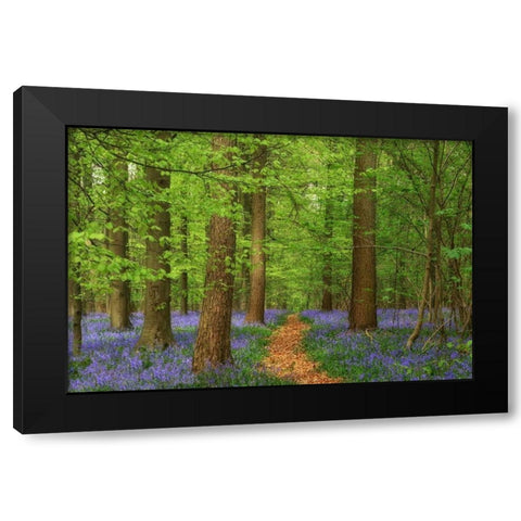 Haller Black Modern Wood Framed Art Print with Double Matting by Van de Goor, Lars