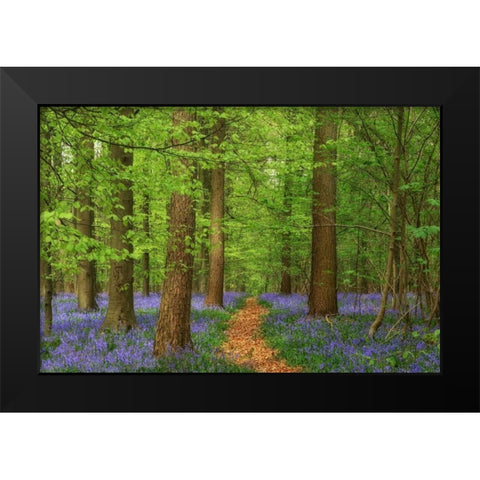 Haller Black Modern Wood Framed Art Print by Van de Goor, Lars