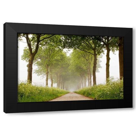 This Appears Black Modern Wood Framed Art Print by Van de Goor, Lars