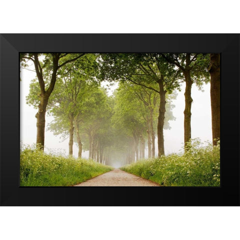 This Appears Black Modern Wood Framed Art Print by Van de Goor, Lars