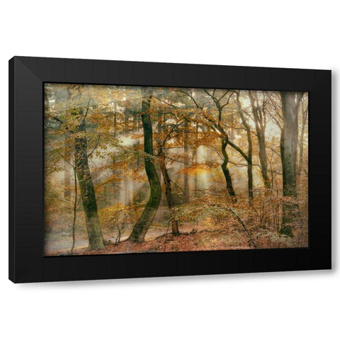 You Cant Hide Your Rays for Me Black Modern Wood Framed Art Print by Van de Goor, Lars