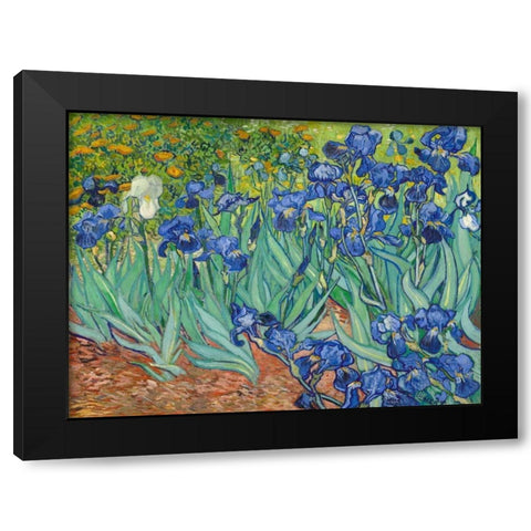 Irises 1889 Black Modern Wood Framed Art Print with Double Matting by Van Gogh, Vincent
