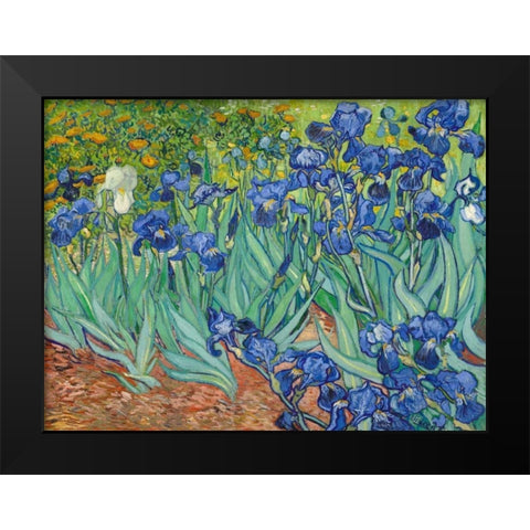 Irises 1889 Black Modern Wood Framed Art Print by Van Gogh, Vincent