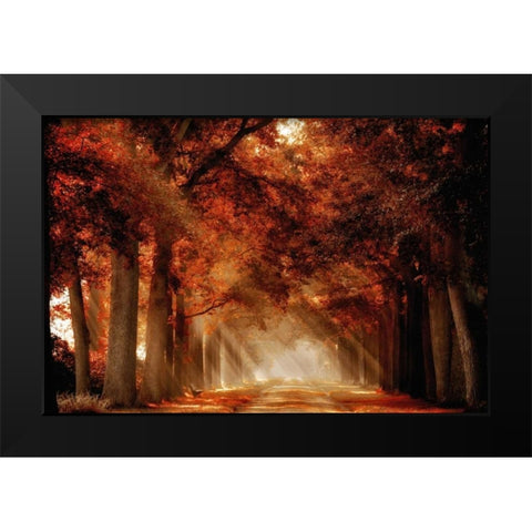 A Seat Not Taken III Black Modern Wood Framed Art Print by Van de Goor, Lars
