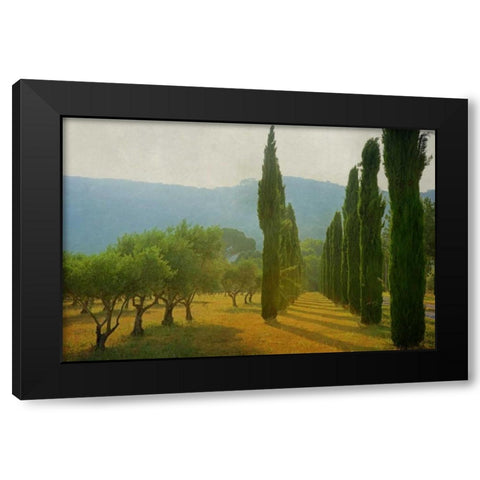 Cypress Shadows Black Modern Wood Framed Art Print with Double Matting by Van de Goor, Lars