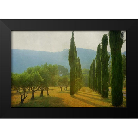 Cypress Shadows Black Modern Wood Framed Art Print by Van de Goor, Lars