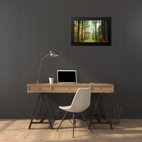 Divide Black Modern Wood Framed Art Print by Van de Goor, Lars