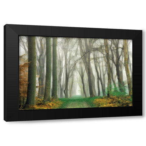 Magic Is Everywhere Black Modern Wood Framed Art Print with Double Matting by Van de Goor, Lars