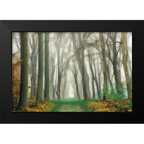 Magic Is Everywhere Black Modern Wood Framed Art Print by Van de Goor, Lars