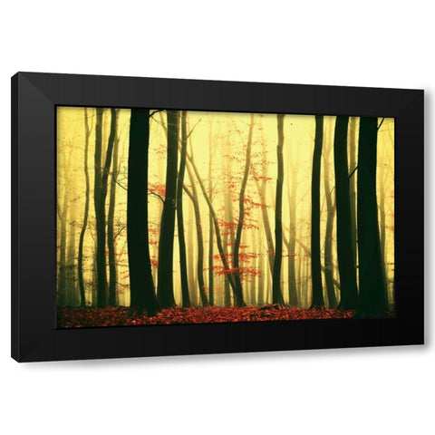 Red Leaves Black Modern Wood Framed Art Print with Double Matting by Van de Goor, Lars