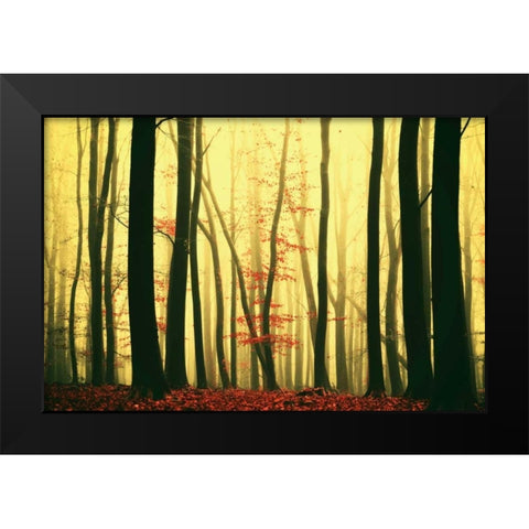Red Leaves Black Modern Wood Framed Art Print by Van de Goor, Lars