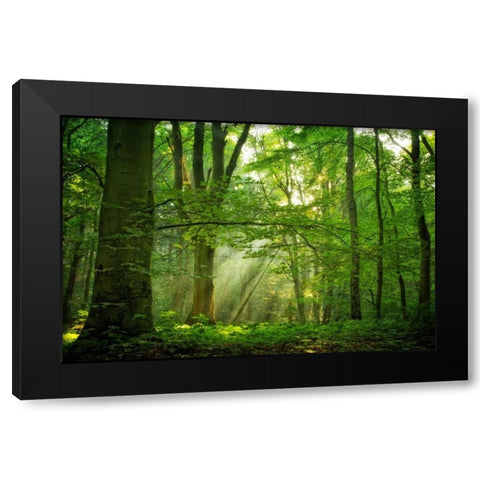 Breathe Black Modern Wood Framed Art Print with Double Matting by Van de Goor, Lars