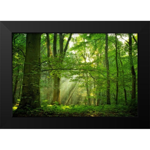 Breathe Black Modern Wood Framed Art Print by Van de Goor, Lars