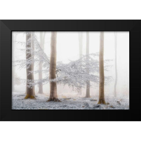 Lishka Black Modern Wood Framed Art Print by Van de Goor, Lars