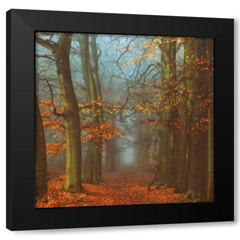 Path of The Mystics Black Modern Wood Framed Art Print by Van de Goor, Lars