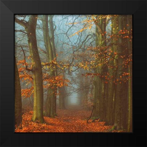 Path of The Mystics Black Modern Wood Framed Art Print by Van de Goor, Lars