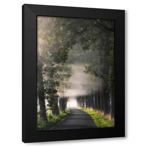 Rays of Fog Black Modern Wood Framed Art Print by Van de Goor, Lars