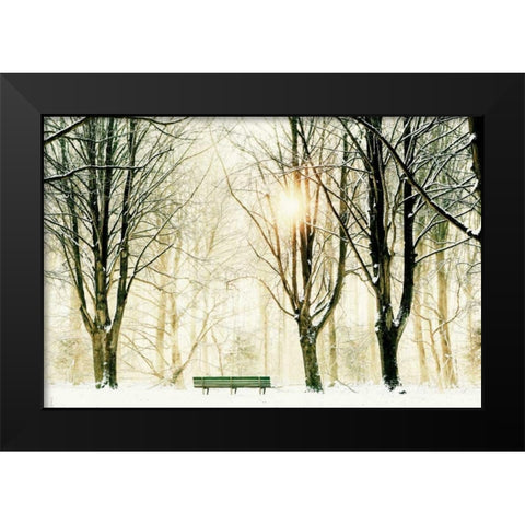 Too Cold To Sit Black Modern Wood Framed Art Print by Van de Goor, Lars